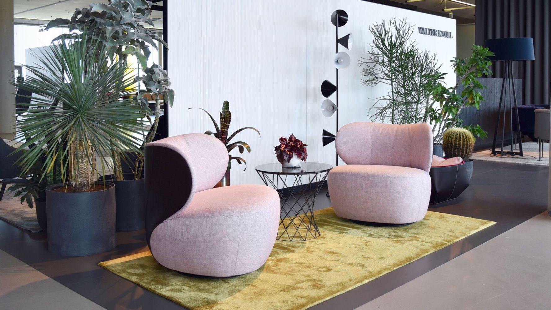 WALTER KNOLL