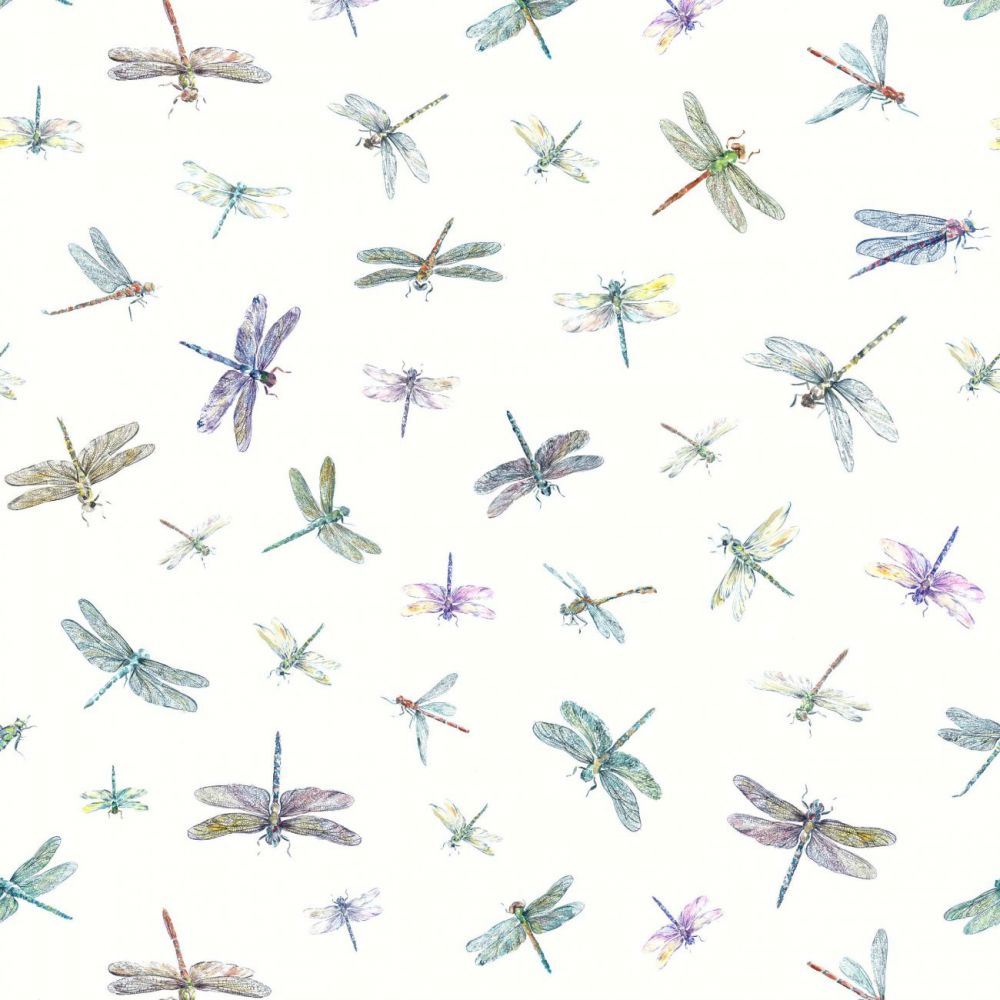 Dragonflies